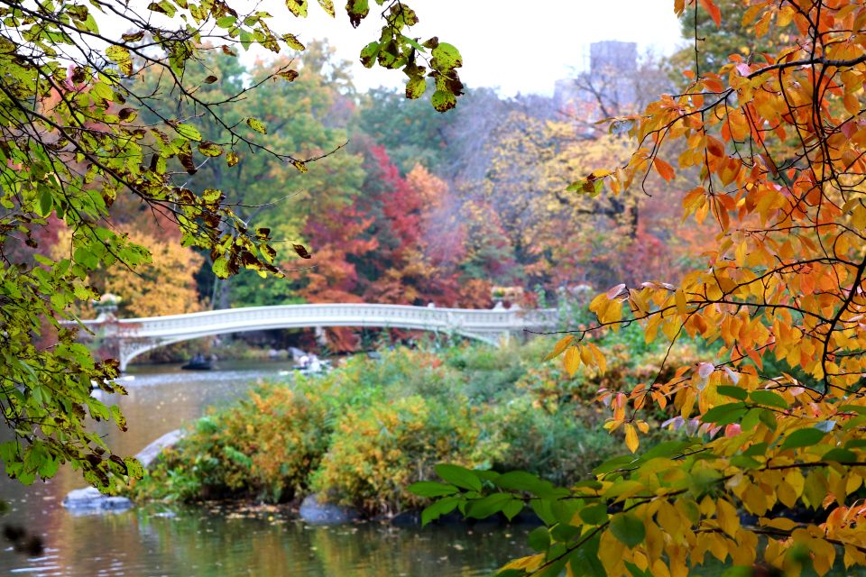 New York City: Pedicab Tour Through Central Park - Pricing and Availability