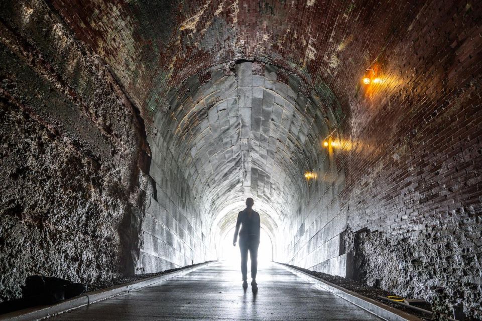 Niagara Parks: Power Station & The Tunnel Experience Ticket - Historical Insights of the Power Plant