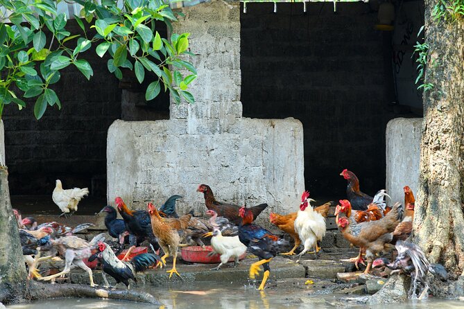 Ninh Binh 2 Days 1 Night Tour From Hanoi (Small Group of 9) - Booking Confirmation