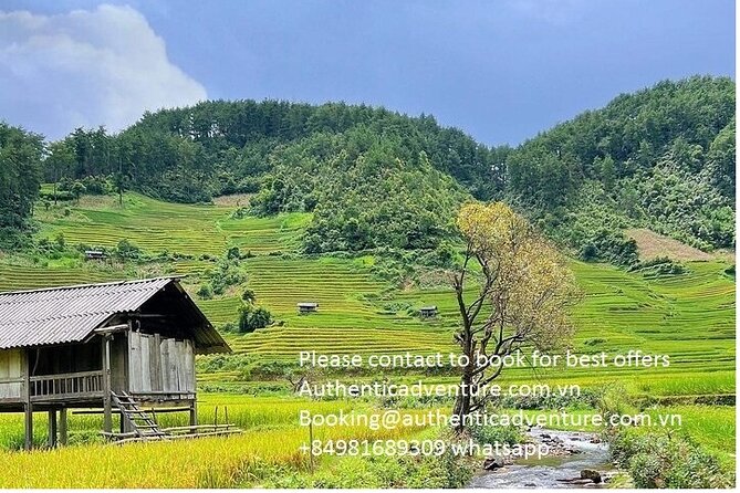 Ninh Binh - Pu Luong | Best Optional Choices | 3 - 4 Days Tours - Cuisine and Dining Experiences