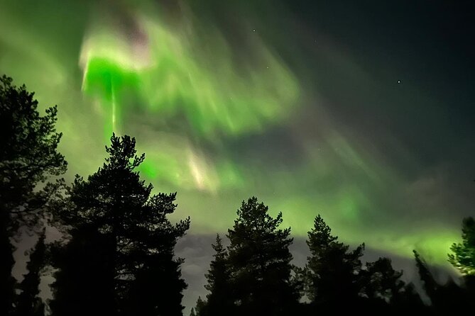Northern Light Hunt With Minibus to Abisko 7:30 Pm - Exploring Abisko National Park