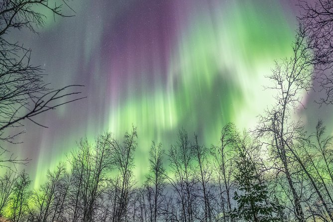 Northern Lights Private Tour With Your Special Ones - Greenlander - Customize Your Experience
