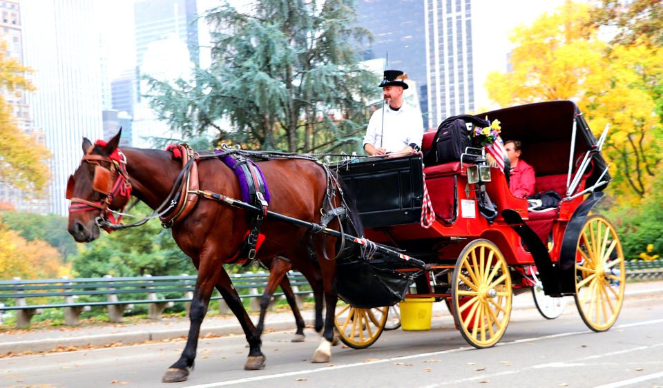 NYC: Central Park Horse-Drawn Carriage Ride (up to 4 Adults) - Meeting Point Details