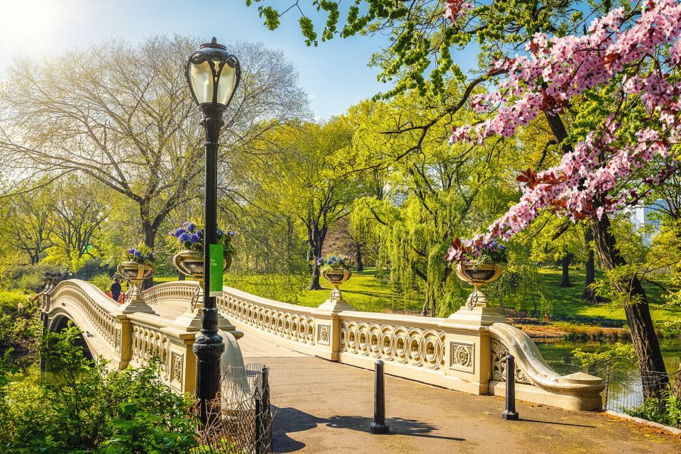 NYC: Central Park Pedicab Highlights Tour - Pricing