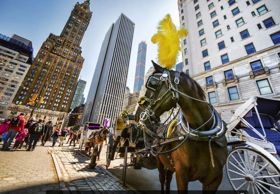 NYC:Guided Central Park Horse Carriage Ride - Inclusions and Exclusions