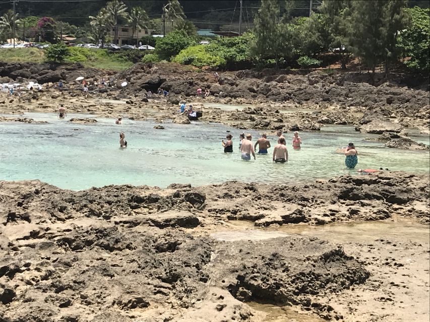 Oahu: Manoa Falls Hike and East Side Beach Day - Beach Day at Kailua Beach Park