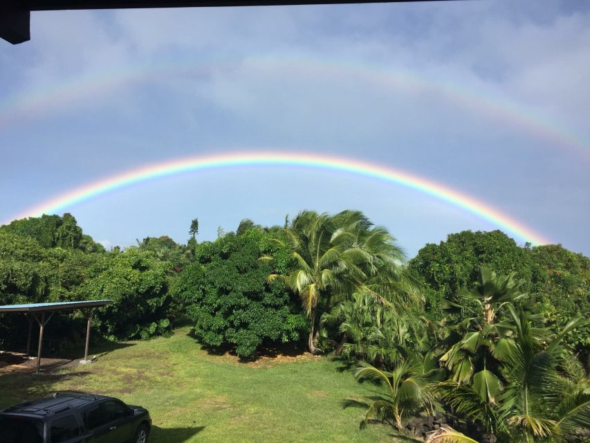 Oahu: Private Island Tour - North Shore Beaches