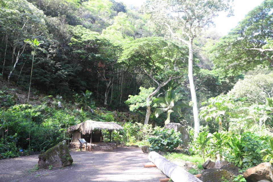 Oahu: Valley of Waimea Falls Swim & Hike With Lunch & Dole - Waimea Valley Hike