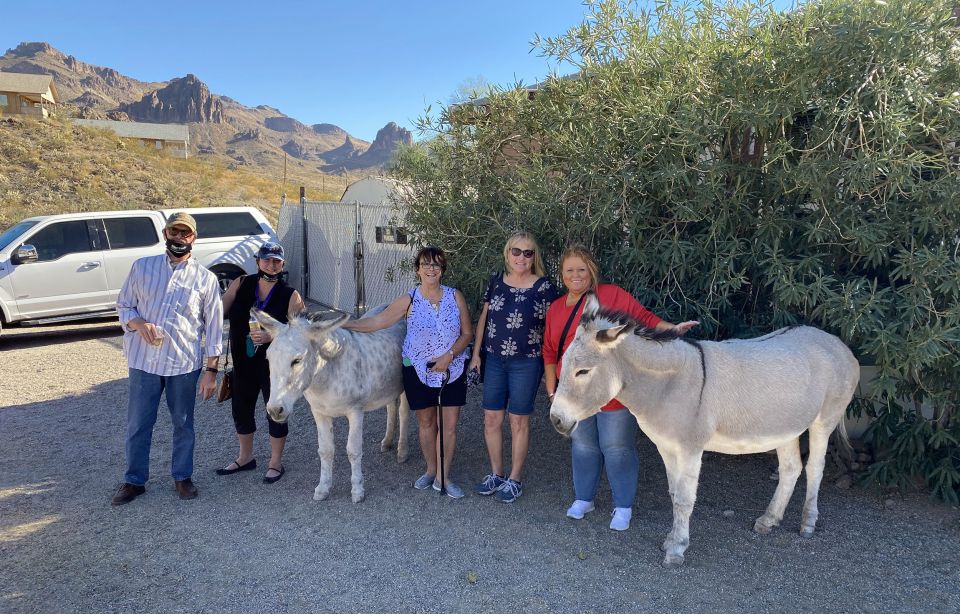 Oatman Mining Village: Burros/Route 66 Scenic Mountain Tour - Sitgreaves Pass Scenic Views