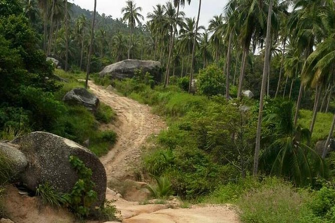 Off-Road Trip in Koh Phangan - Dietary Options and Considerations