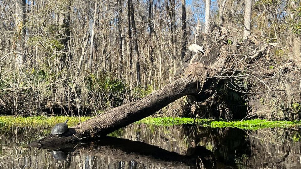 Old Florida Backwater Kayak Adventure Near St. Augustine - Meeting Point Details