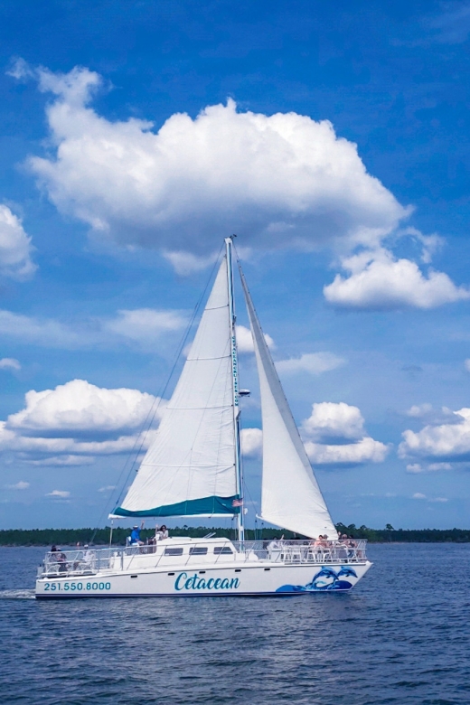 Orange Beach: Sun and Sailing Cruise Aboard Catamaran - Sails Along Bays of Alabama, Florida