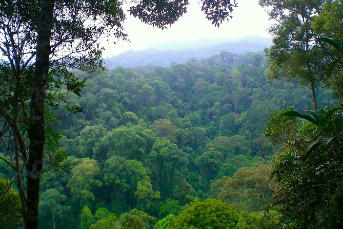 ORANGUTAN TREK (2D/1N) by EcoTravel Bukit Lawang - Payment and Cancellation Policy