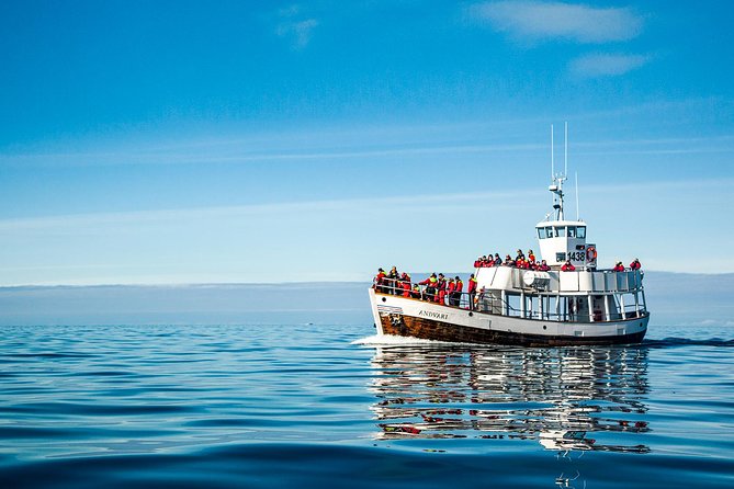 Original Carbon Neutral Whale Watching Tour From Húsavík - Onboard Refreshments and Entertainment