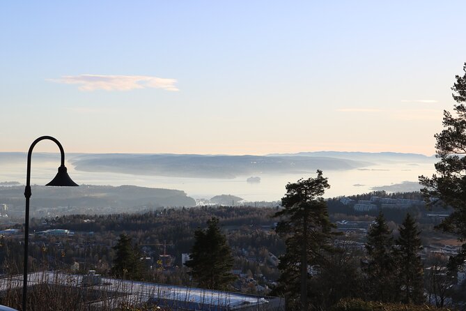 Oslo City Highlights With Fjord Cruise - Vigeland Sculpture Park