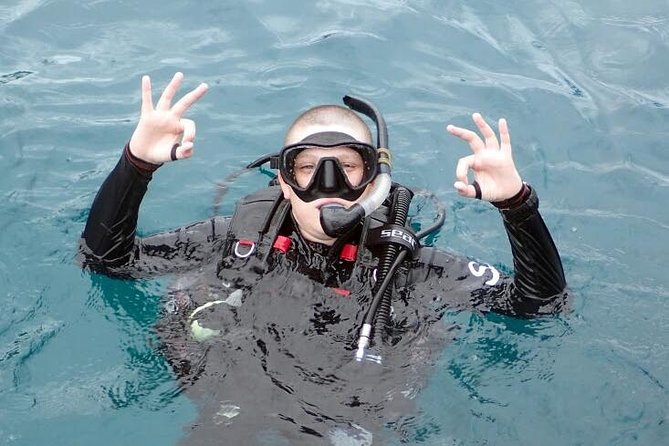 PADI Discover Scuba Diving in Koh Tao - Half Day and Two Dives - Additional Information and Reviews