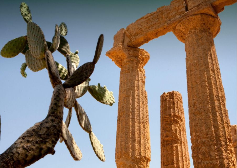 Palermo to Siracusa: Stop at the Valley of Temples & Roman Villa - Private Transfer Details