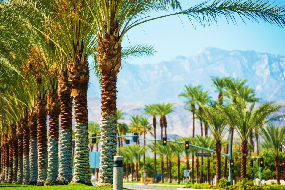 Palm Springs: City and Desert App-Guided Driving Tour - Architectural Wonders in Palm Springs