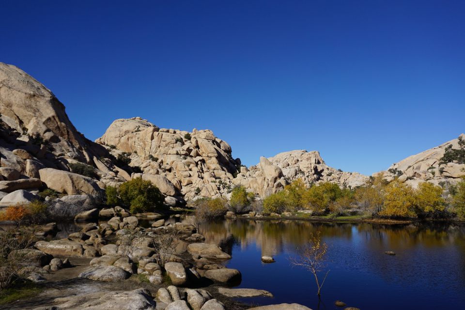 Palm Springs & Joshua Tree: National Park Self-Guided Tours - Frank Sinatras Tomb