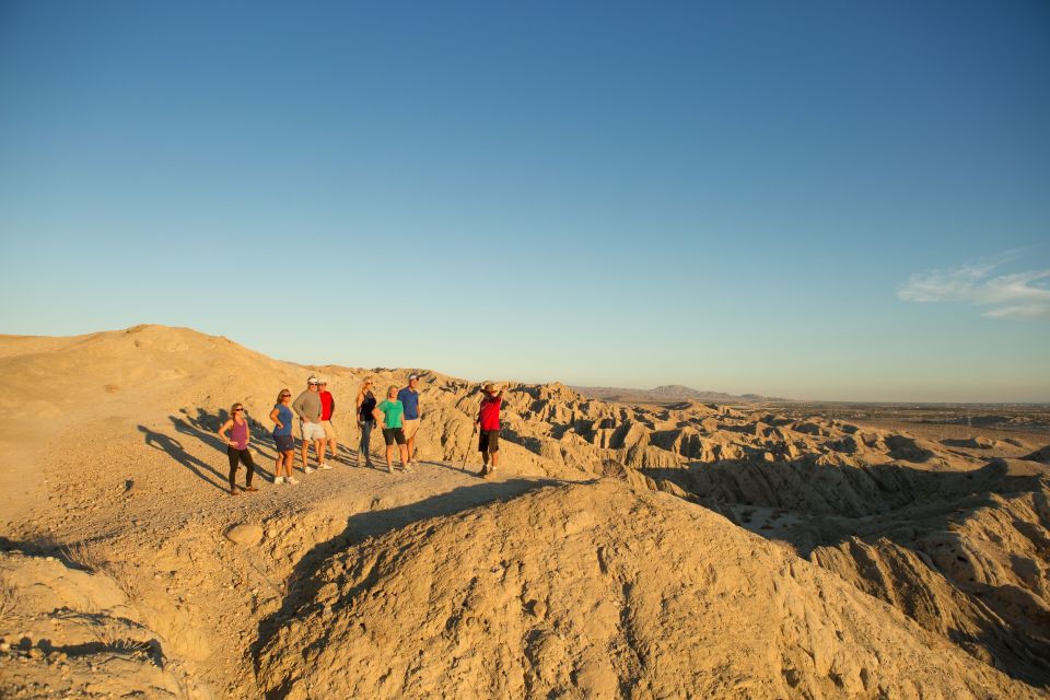 Palm Springs: San Andreas Fault Open-Air Jeep Tour - Natural Palm Oasis