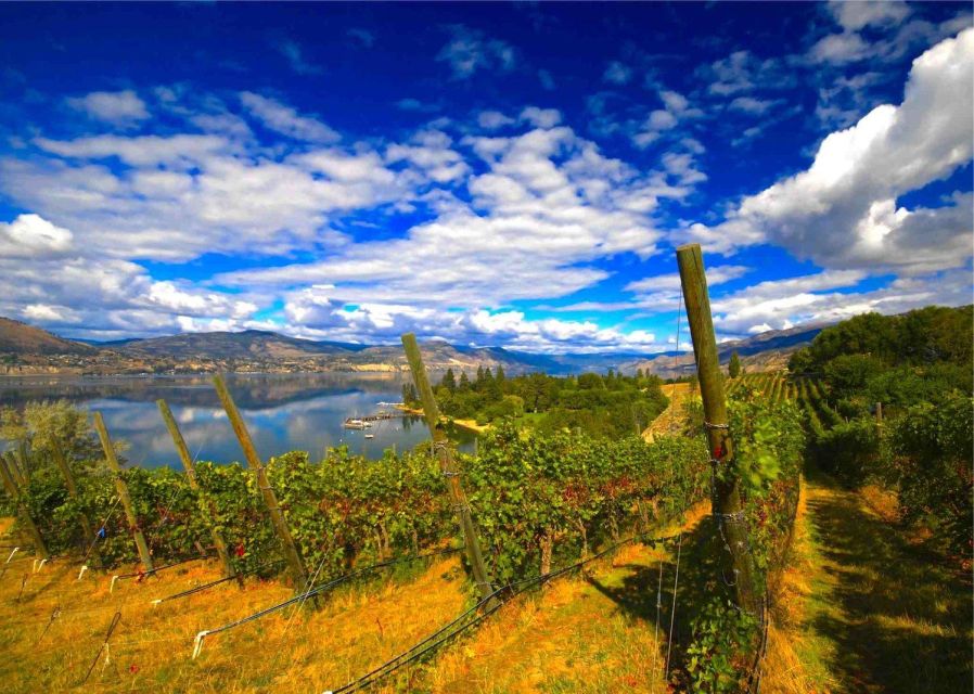 Penticton Wineries Tour - Fitzpatrick Family Vineyards at Greata Ranch