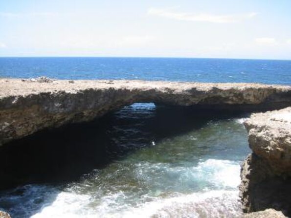 Perfect Day Tour - Small Group! - Native Wildlife Observation