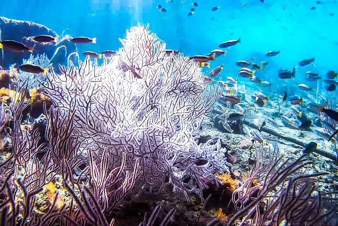 Phi Phi Full Day Tour - Small Group 15 Pax From Krabi - Cancellation Policy