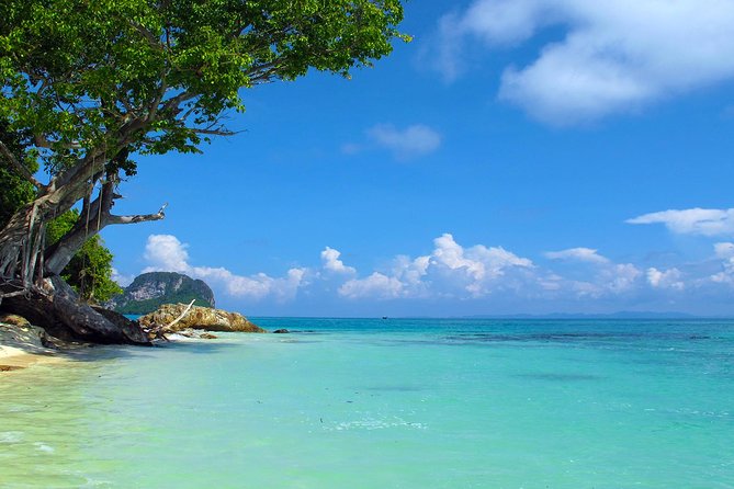Phi Phi Island by Premium Speedboat With Lunch From Phuket - Cancellation Policy