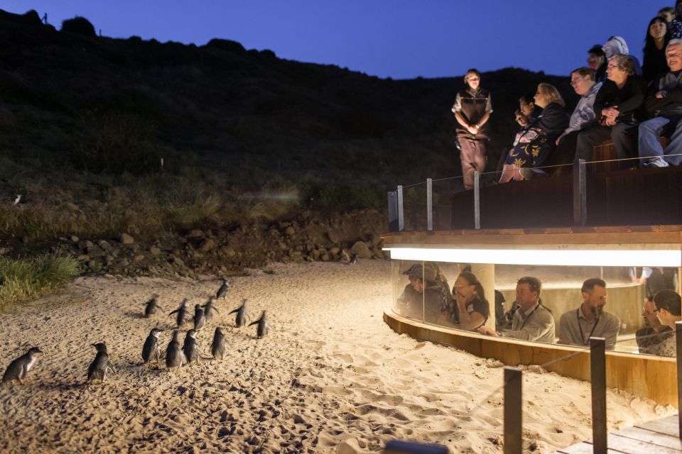 Phillip Island & Penguin Parade Private 11 Hour Tour - Important Information