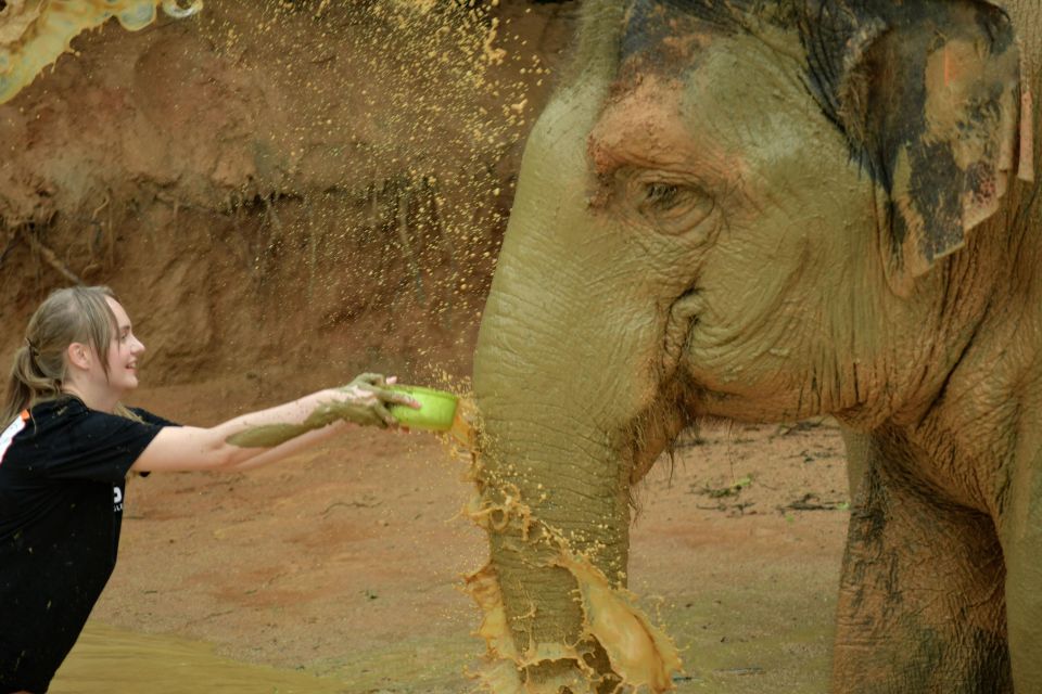 Phuket: Elephant Jungle Sanctuary Half-Day Visit With Meal - Cancellation and Payment Policies