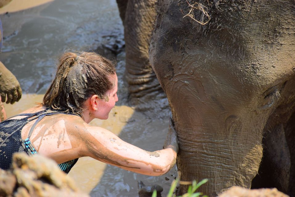 Phuket: Elephant Save & Care Program Tour - Bathing With Elephants