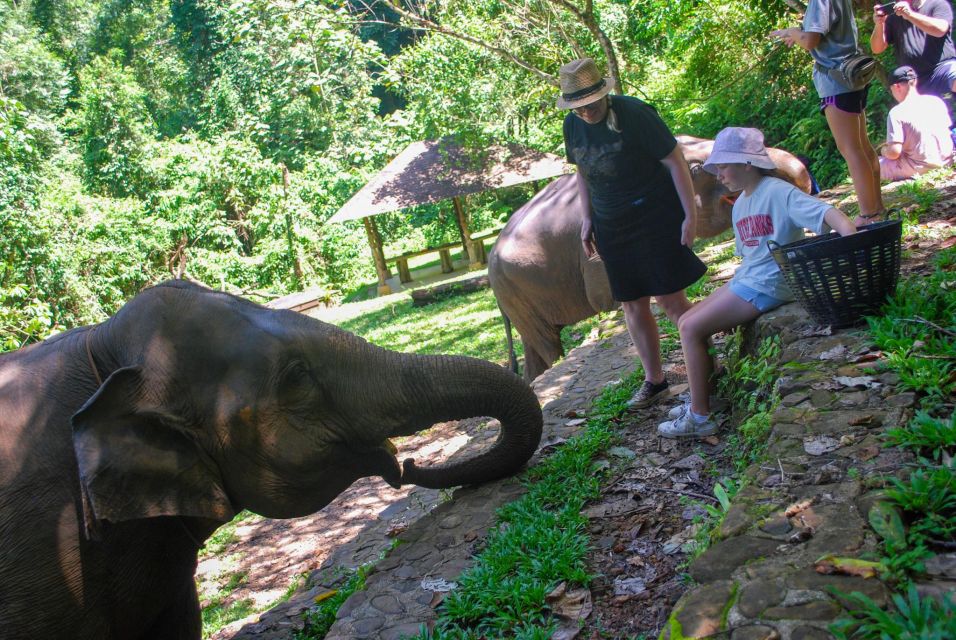 Phuket: Ethical Elephant Sanctuary Experience - Bathing the Elephants