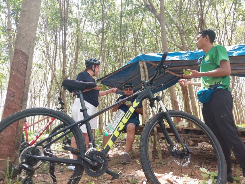 Phuket: Half-Day Countryside Cycling Tour With Lunch - Age and Ability Requirements