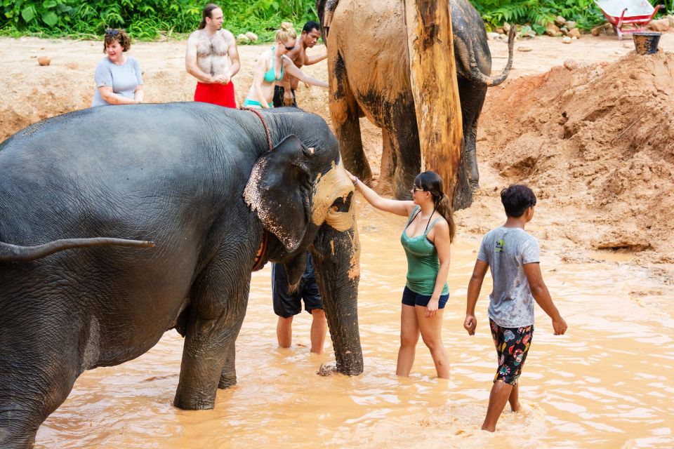 Phuket: Phuket Elephant Sanctuary, Wat Chalong & More - Significance of Buddhist Sanctuary