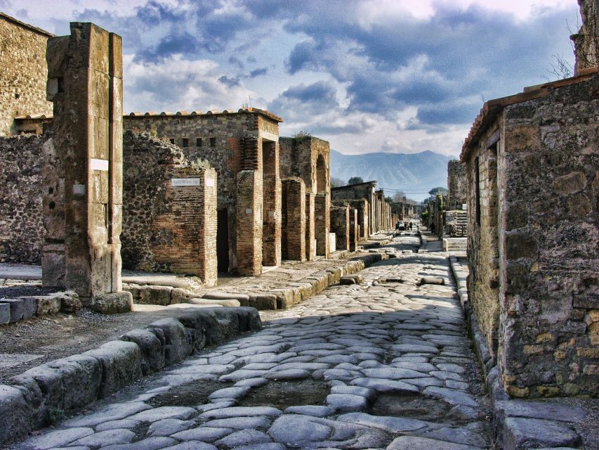 Pompeii and Herculaneum: Private Tour From Naples - Professional Tour Guide