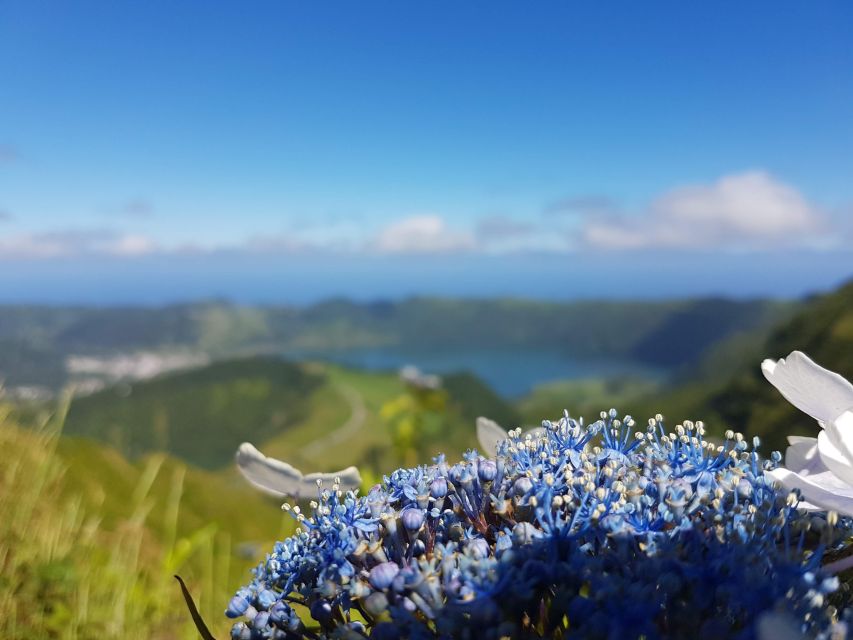 Ponta Delgada: Sete Cidades & Lagoa Do Fogo Tour - Price and Duration