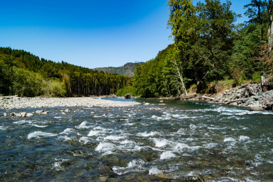 Port Angeles: Olympic National Park Driving Audio Tour - Inclusions and Exclusions