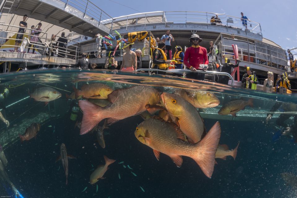 Port Douglas: Quicksilver Outer Barrier Reef Full-Day Cruise - Directions