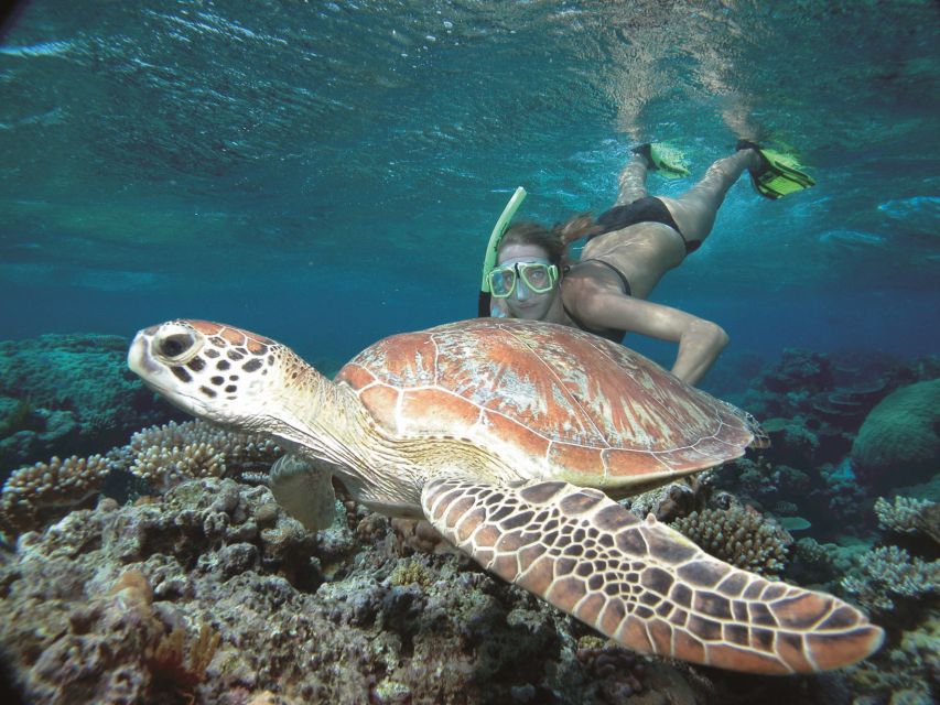 Port Douglas: Reef & Low Isles Cruise on Luxury Catamaran - Directions