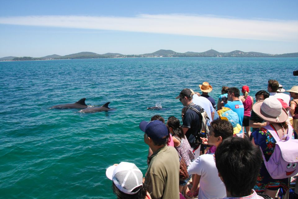 Port Stephens: Dolphin Watching Cruise - Additional Tips