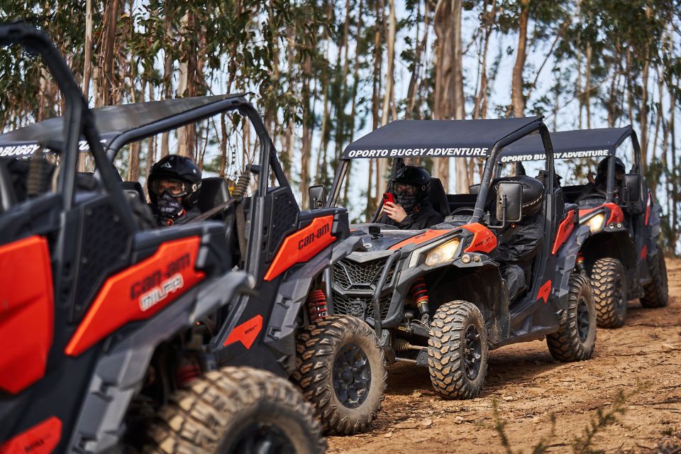 Porto: Extreme Tour by Oporto Buggy - Terrain and Experience