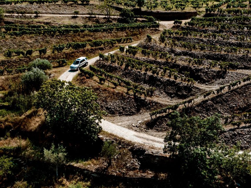 Porto: Private Douro Valley 4x4 Tour With Lunch - Customer Reviews