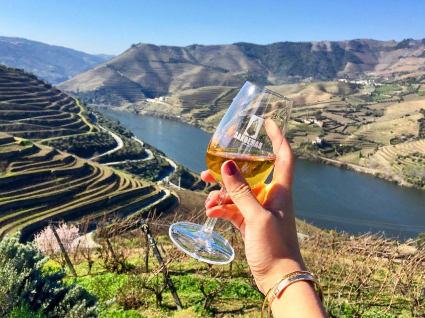 Porto: Private Douro Valley Tour With Port Tasting/Boat Trip - Private Tour Experience