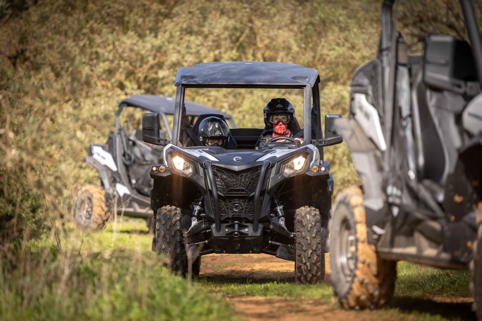 Porto Santo: 90 Minutes Off-Road Buggy Tour - Booking and Cancellation