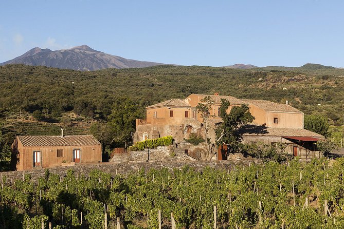 Private 6-Hour Tour of Three Etna Wineries With Food and Wine Tasting - Inclusions and Highlights