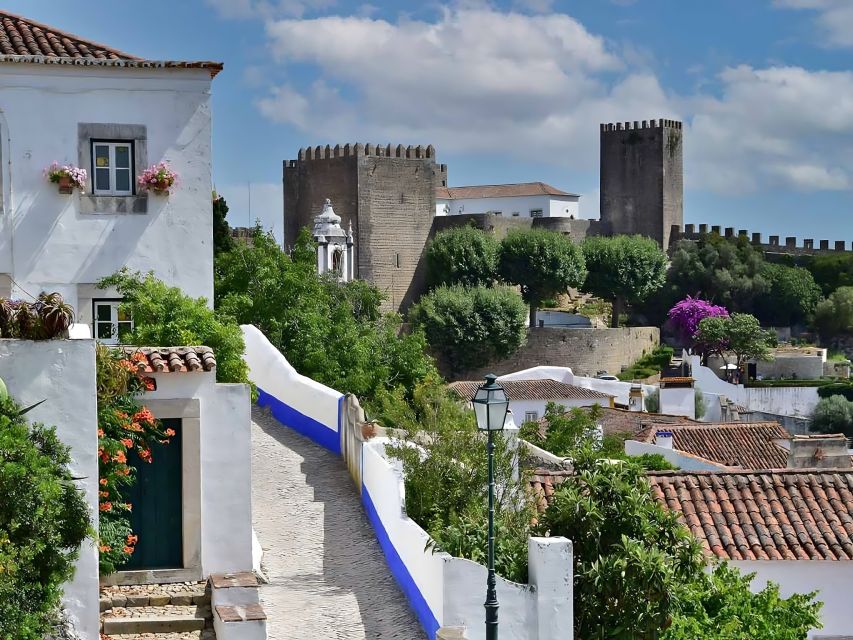 Private Adventure Transfer From Lisbon-->Porto+Obidos&Aveiro - Arrival and Sightseeing in Porto