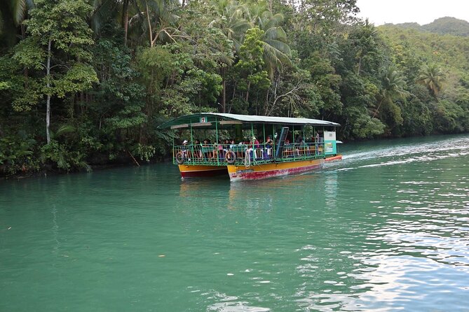 Private Bohol and Chocolate Hills With Loboc River Cruise - Traveler Reviews and Experiences