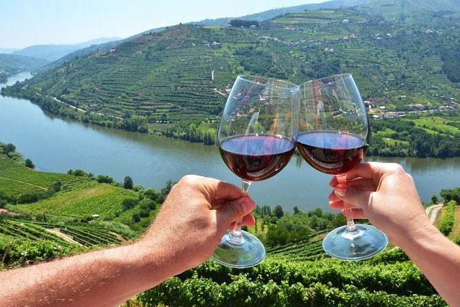 Private Douro Valley Wine Tour: 2 Wine Estates, Lunch and Cruise - Wine Tasting Experiences