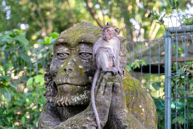 Private Full-Day Tour: Balinese Temples and Rice Terraces - Macaque Spotting