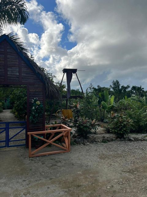 Private Half Day Tour in Punta Cana With Local Guide - Cigar Making Demonstration